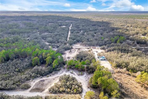 Land in Webster, Florida № 2161724 - photo 14