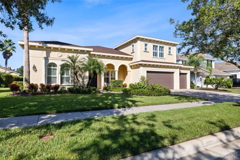 Villa ou maison à Fish Hawk, Floride 4 chambres, 357.02 m2 № 2419147