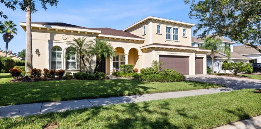 Villa ou maison à Fish Hawk, Floride 4 chambres, 357.02 m2 № 2419147
