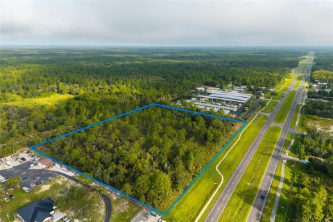 Land in Homosassa, Florida № 2364832