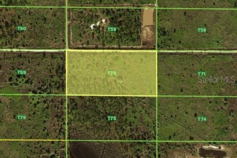 Terrain à Punta Gorda, Floride № 2097116