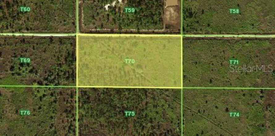 Terrain à Punta Gorda, Floride № 2097116