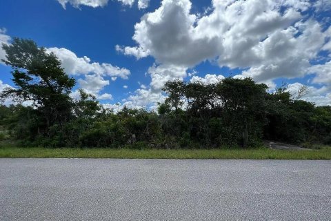 Propiedad comercial en Lake Placid, Florida № 2242972