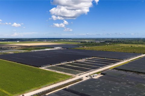 Immobilier commercial à Homestead, Floride № 2039134