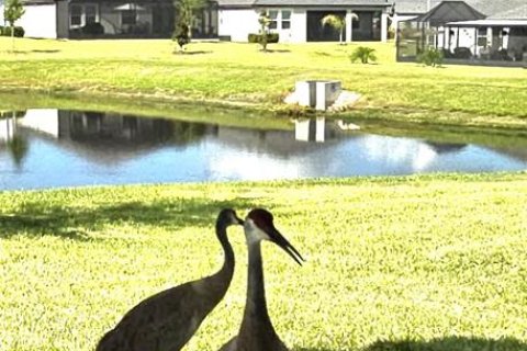 House in San Antonio, Florida 3 bedrooms, 164.44 sq.m. № 2226849 - photo 27