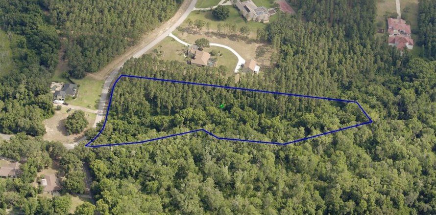 Land in Leesburg, Florida № 1544417