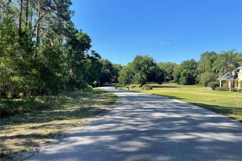 Land in Leesburg, Florida № 1544417 - photo 12