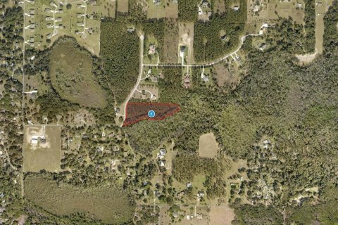 Land in Leesburg, Florida № 1544417 - photo 4