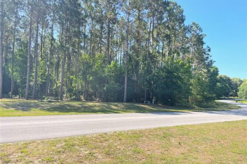 Land in Leesburg, Florida № 1544417 - photo 9