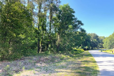 Land in Leesburg, Florida № 1544417 - photo 13