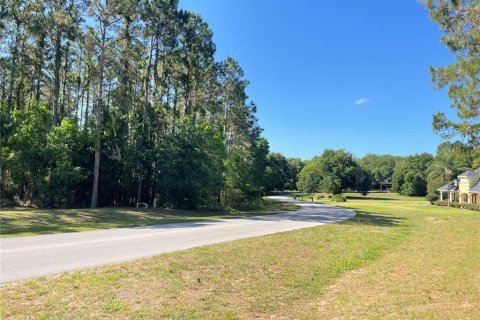 Land in Leesburg, Florida № 1544417 - photo 10