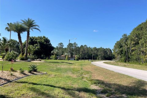 Land in Leesburg, Florida № 1544417 - photo 5