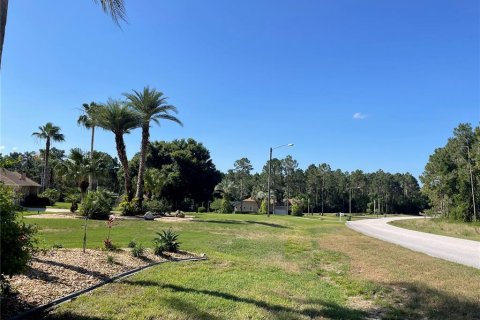 Land in Leesburg, Florida № 1544417 - photo 6