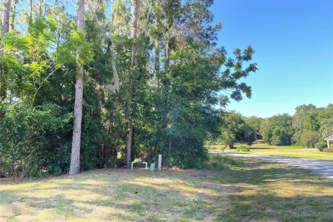Land in Leesburg, Florida № 1544417 - photo 11