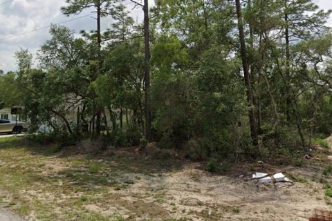 Land in Ocala, Florida № 2160892 - photo 3