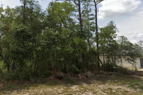 Land in Ocala, Florida № 2160892