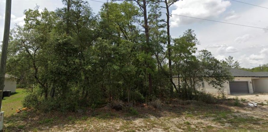 Land in Ocala, Florida № 2160892
