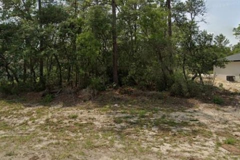 Land in Ocala, Florida № 2160892 - photo 2