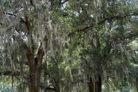 House in Ocala, Florida 4 bedrooms, 169.92 sq.m. № 1878058 - photo 27