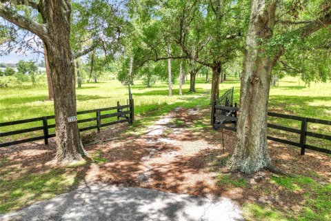 House in Ocala, Florida 4 bedrooms, 169.92 sq.m. № 1878058 - photo 4