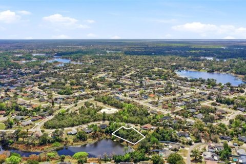 Terreno en venta en Deltona, Florida № 2167116 - foto 20