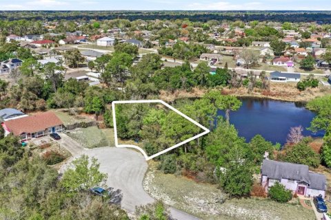 Terreno en venta en Deltona, Florida № 2167116 - foto 5