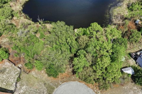 Terreno en venta en Deltona, Florida № 2167116 - foto 15
