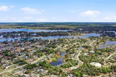 Terreno en venta en Deltona, Florida № 2167116 - foto 26