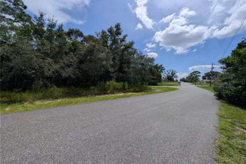 Land in Spring Hill, Florida № 1876817 - photo 2