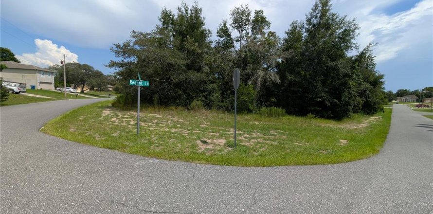 Land in Spring Hill, Florida № 1876817