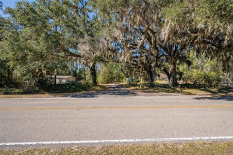 Terrain à vendre à Alachua, Floride № 2135469 - photo 21
