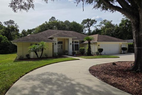 Casa en venta en Homosassa, Florida, 3 dormitorios, 244.24 m2 № 2383833 - foto 3