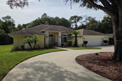 Casa en venta en Homosassa, Florida, 3 dormitorios, 244.24 m2 № 2383833 - foto 4