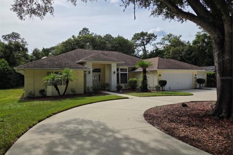 Casa en Homosassa, Florida 3 dormitorios, 244.24 m2 № 2383833
