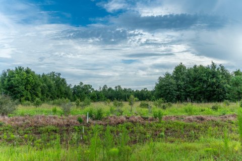 Terreno en venta en Baker, Florida № 562017 - foto 1