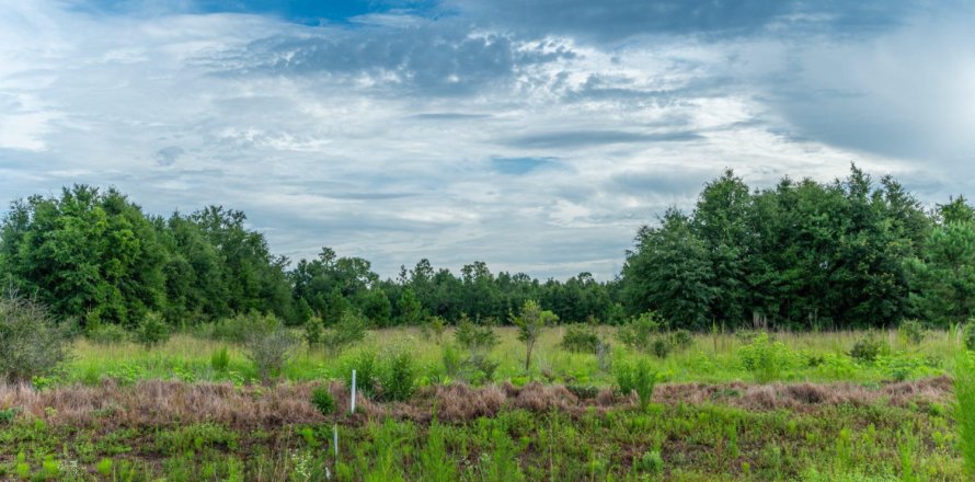 Terrain à Baker, Floride № 562017