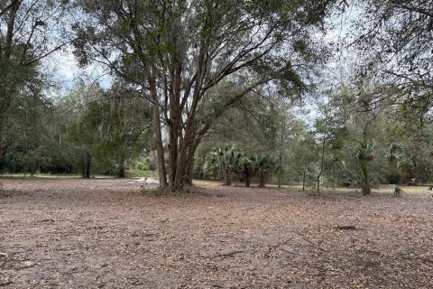 Terreno en venta en Citra, Florida № 1903377 - foto 21