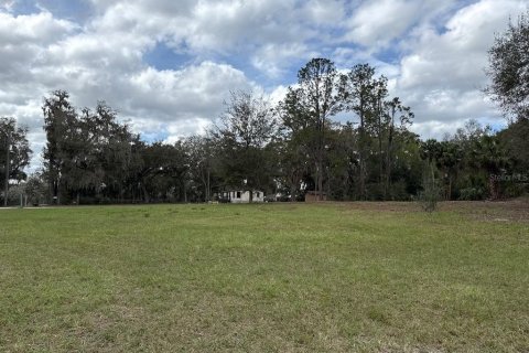 Terreno en venta en Citra, Florida № 1903377 - foto 5