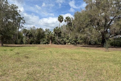 Terreno en venta en Citra, Florida № 1903377 - foto 26