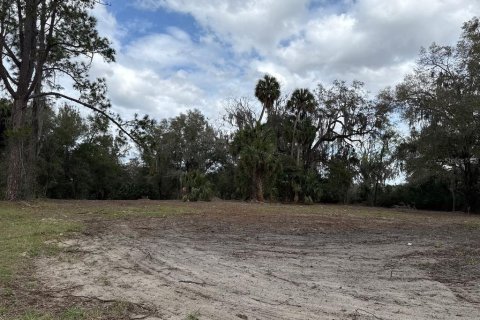 Terreno en venta en Citra, Florida № 1903377 - foto 8