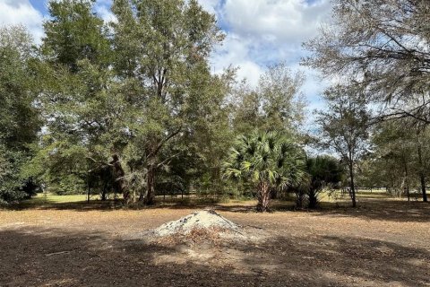 Terreno en venta en Citra, Florida № 1903377 - foto 13