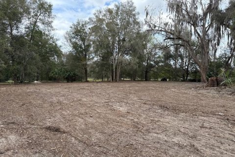 Terreno en venta en Citra, Florida № 1903377 - foto 10