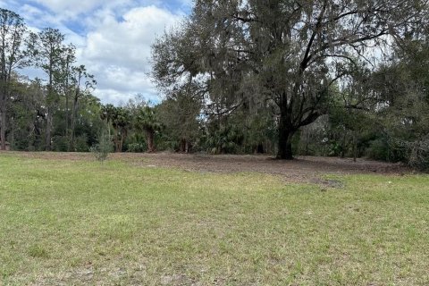 Terreno en venta en Citra, Florida № 1903377 - foto 4