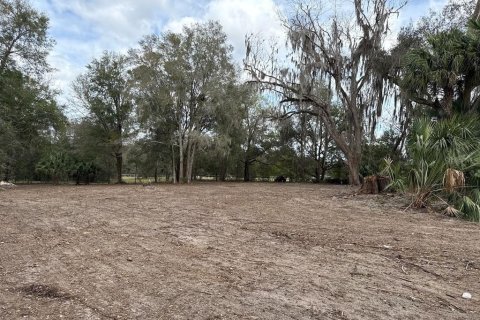 Terreno en venta en Citra, Florida № 1903377 - foto 11