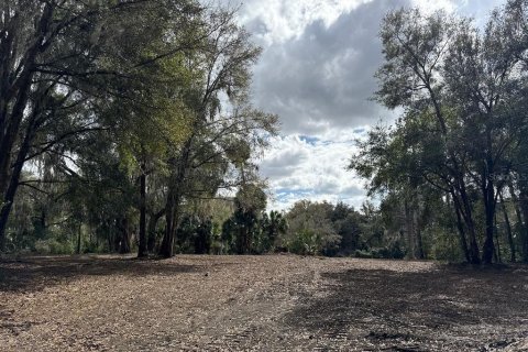 Terreno en venta en Citra, Florida № 1903377 - foto 17