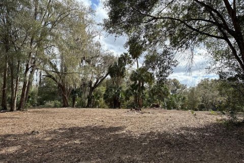 Terreno en venta en Citra, Florida № 1903377 - foto 15