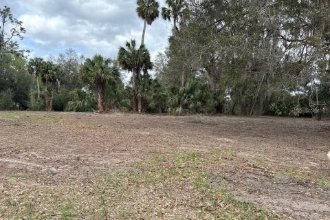 Terreno en venta en Citra, Florida № 1903377 - foto 24