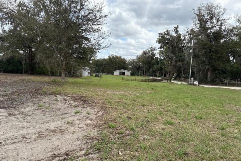 Terreno en venta en Citra, Florida № 1903377 - foto 7