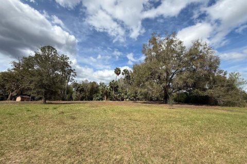 Terreno en venta en Citra, Florida № 1903377 - foto 27