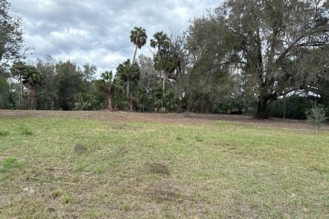 Terreno en venta en Citra, Florida № 1903377 - foto 25